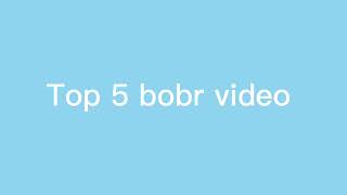 Top 5 bobr