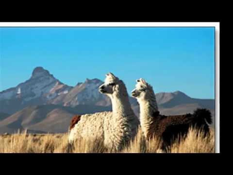 Buscando un sueño