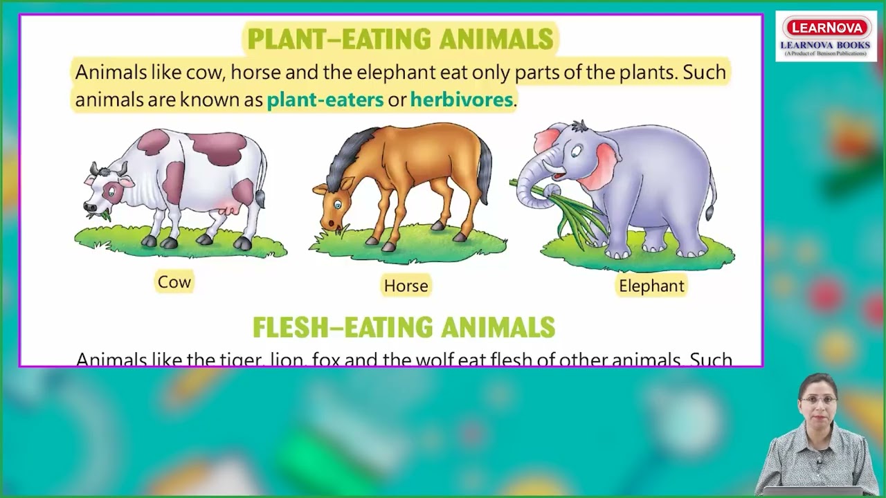 Ch 5 | Benison publications | Science | Class 1 | Food for Animals | For children