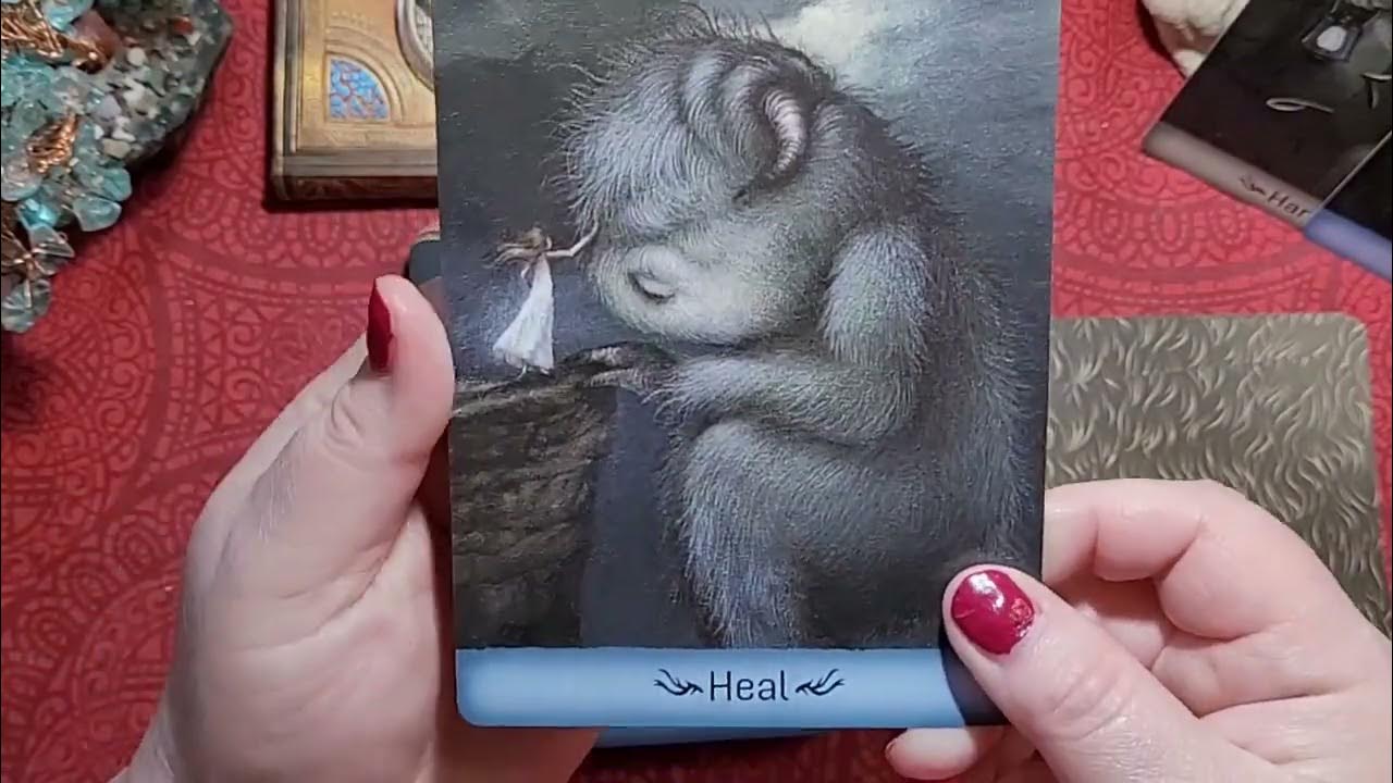 Gentle Creatures Wisdom Deck by Dan May YouTube