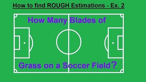 Physics CH 0: General Introduction (15 of 20) Estimate Number of Blades of Grass on Soccer Field