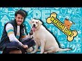 Wafadar dost  cute relationship between dog and human  prem bhati