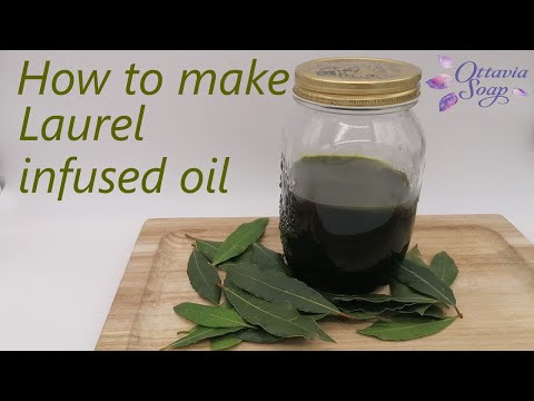 How to make Laurel infused Oil - SUBTITLED