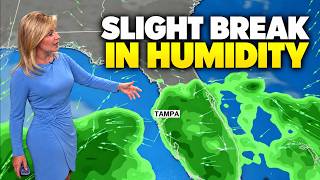 Details Tampa's Weather Forecast for Monday Evening Update