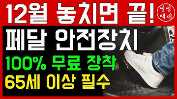 🚨신청중🚨[