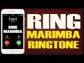 Latest iPhone Ringtone - Ring Marimba Remix Ringtone - Cardi B