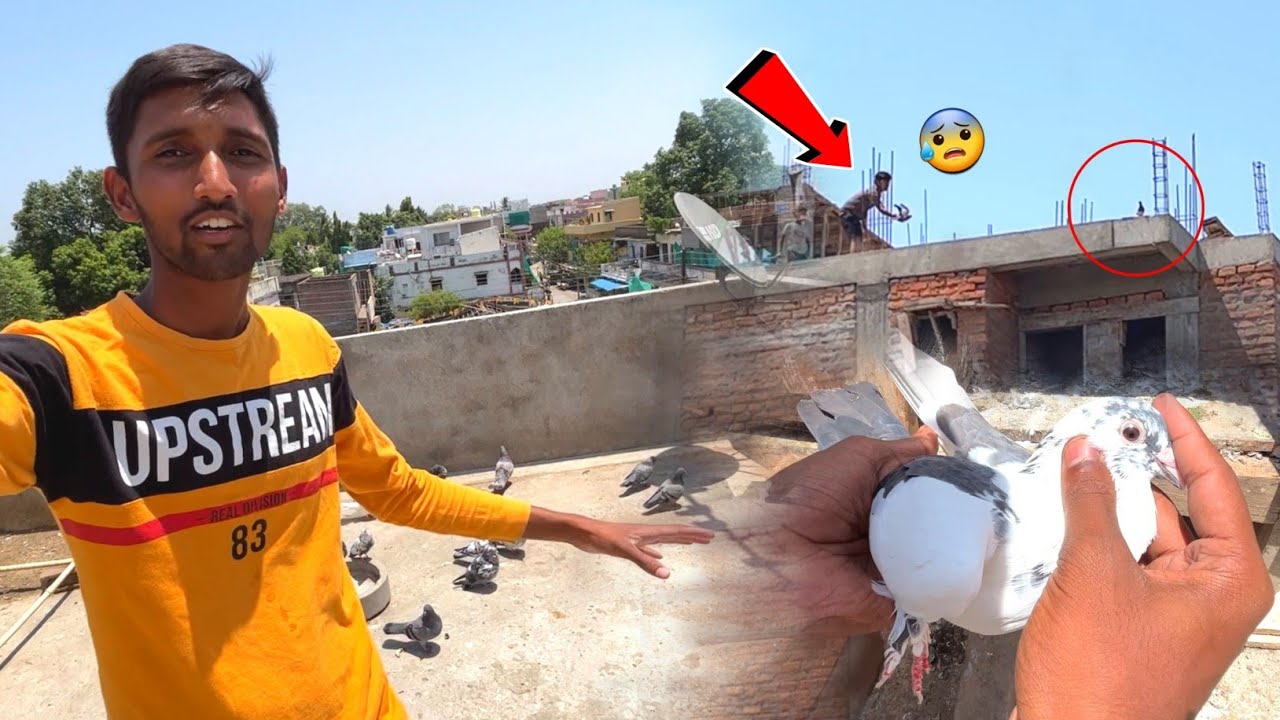कबूतर देखने गए दूसरे की छत पर 😯 !!  Kabootar 🕊️ Pakdane a Gaye Naye Ladke 😡 !! अब तो गया ये