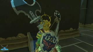 The Legend of Zelda Breath \