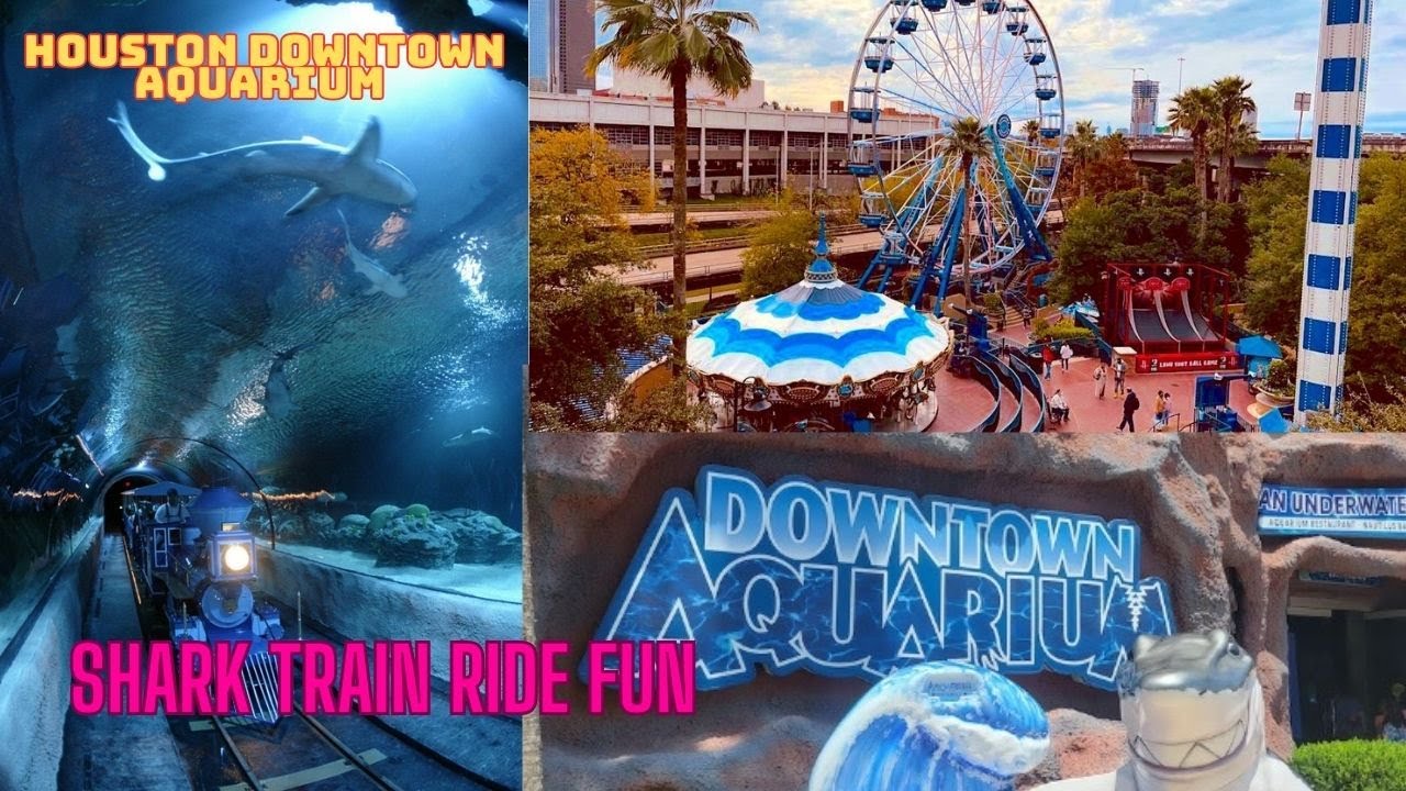 Ultimate Houston Adventure. Houston Downtown Aquarium Shark Train Ride