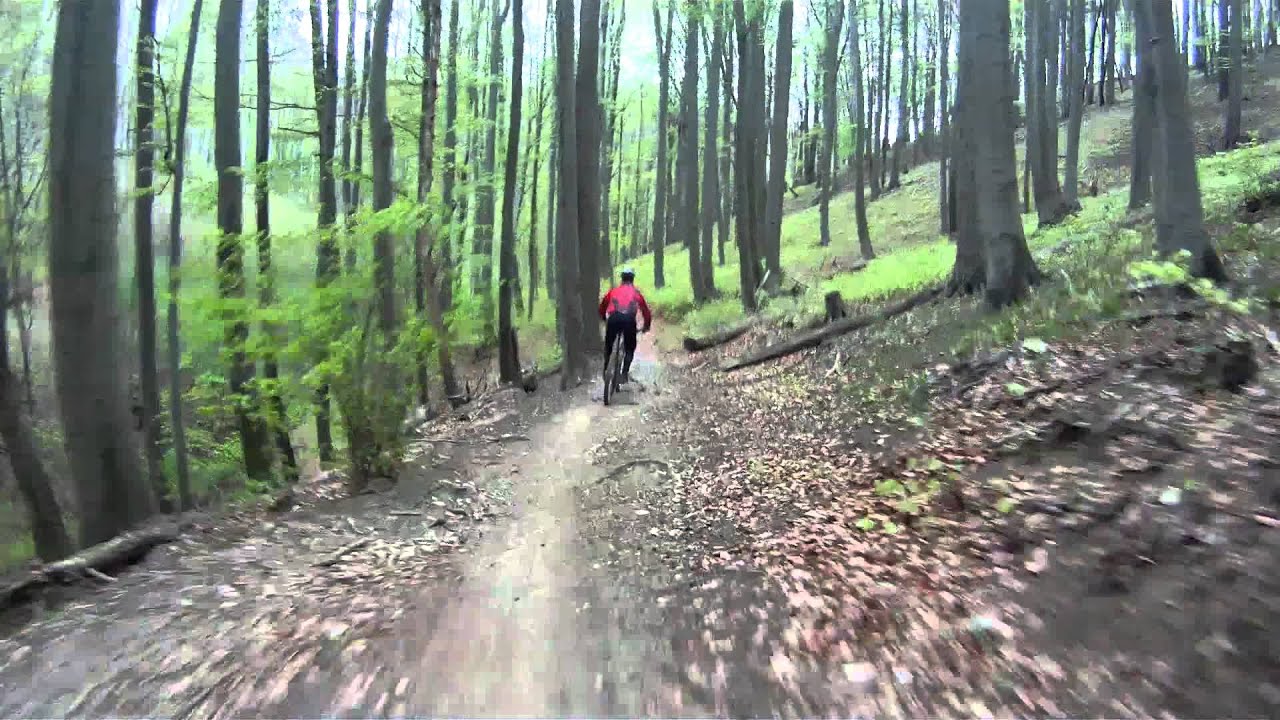 MTB - bester single trail im wienerwald