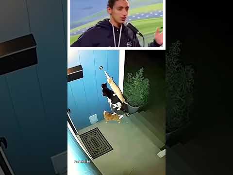 Subscribe for more