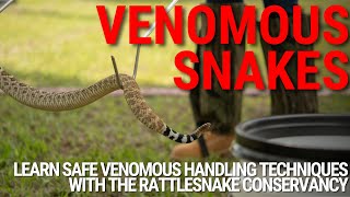 Inside The Rattlesnake Conservancy's Training for Handling Venomous Snakes