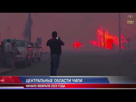 Video: Kāpēc tītari tiek saukti par tītariem