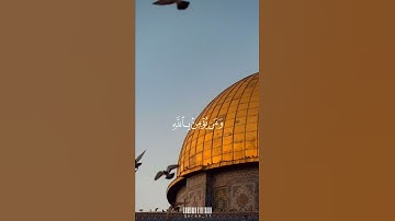 حالات واتس | ما أصاب من مصيبة إلا بإذن الله | (سورة التغابن) بصوت الشيخ رعد الكردي🤍