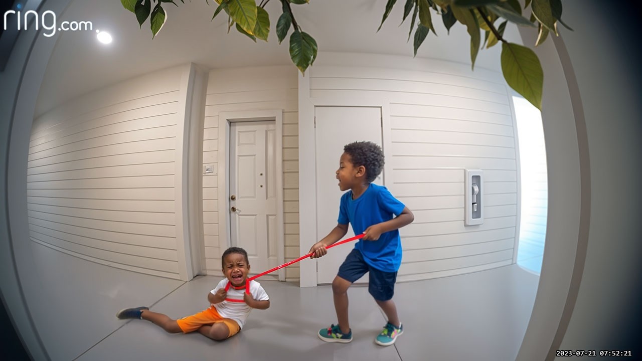 Neighbor Finds 8yo Choking 4yo With Dog Leash, Police Storm In