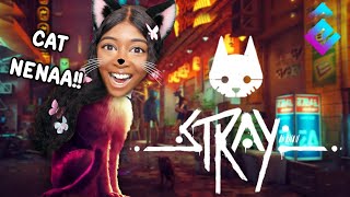 GOING ON AN ADVENTURE AS A CAT!! | Stray [1] screenshot 3