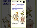 Day 8 Mahagauri Mata #shortsvideo #festival #navratri