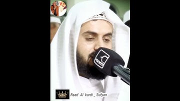 Raad Al kurdi Whatsapp status / رعد الكردي حالات واتس اب / سورة الشعراء رعد الكردي