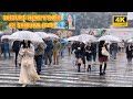 【4k hdr】 3 Hours Heavy Rain Walk in Shibuya (渋谷) Tokyo Japan | Relaxing Natural City ambience