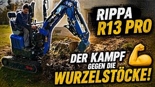 Minibagger Rippa R13 auf neuer Baustelle Teil 3: Der Kampf gegen die Wurzelstöcke! 💪