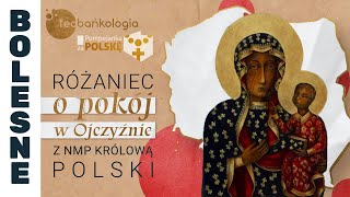 Różaniec Teobańkologia o pokój w Ojczyźnie z NMP Królową Polski 3.05 Piątek