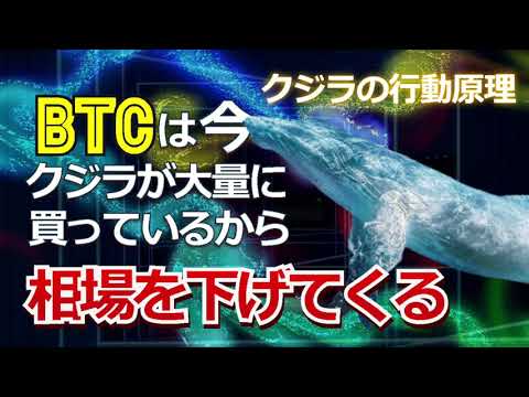 ビットコイン（BTC）は今、クジラが大量に買っているから相場を下げてくる。