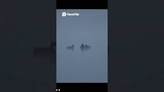 Frosty Sunrise  Chasing Epic Shots in Freezing Cold!