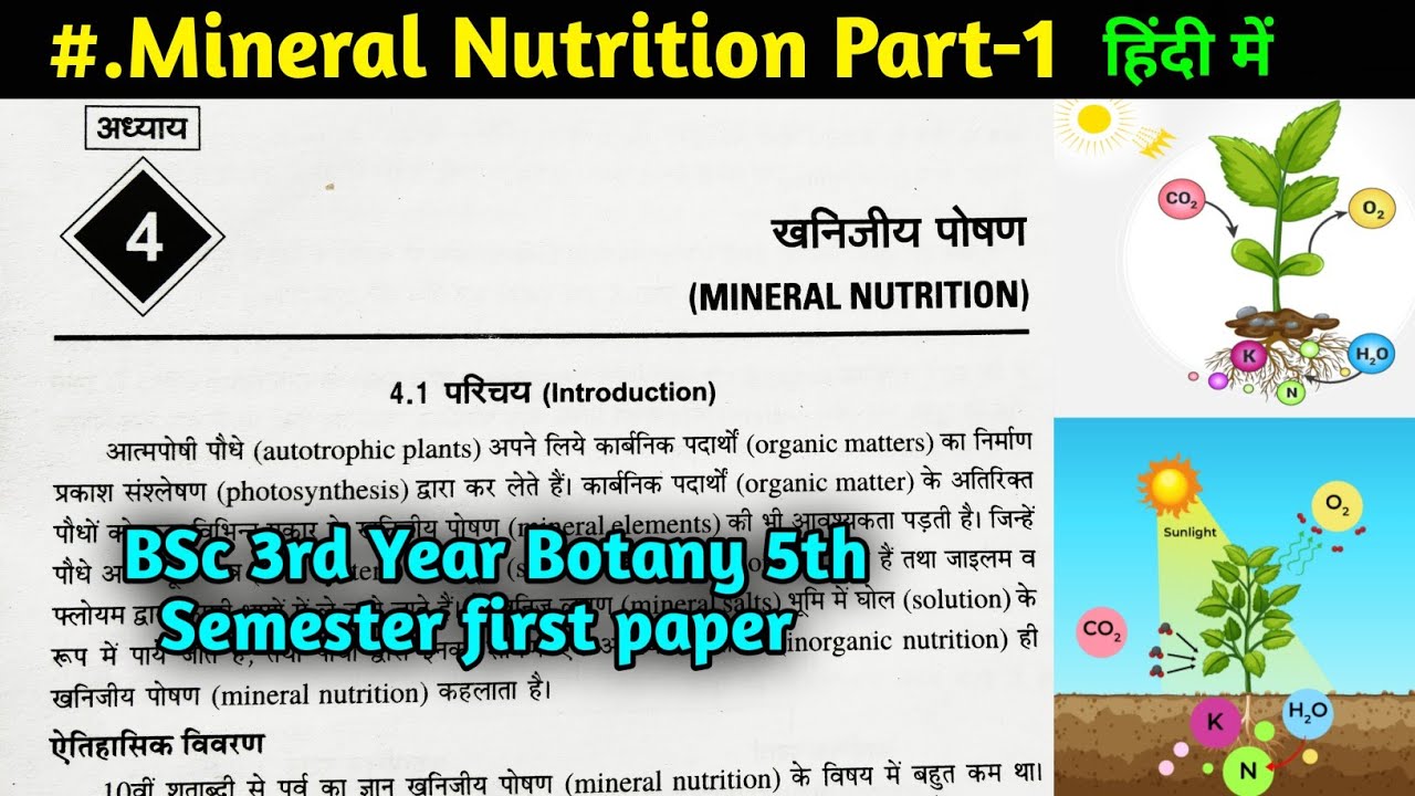 Mineral Nutrition in Plants || Essential and Non-essential Elements ...