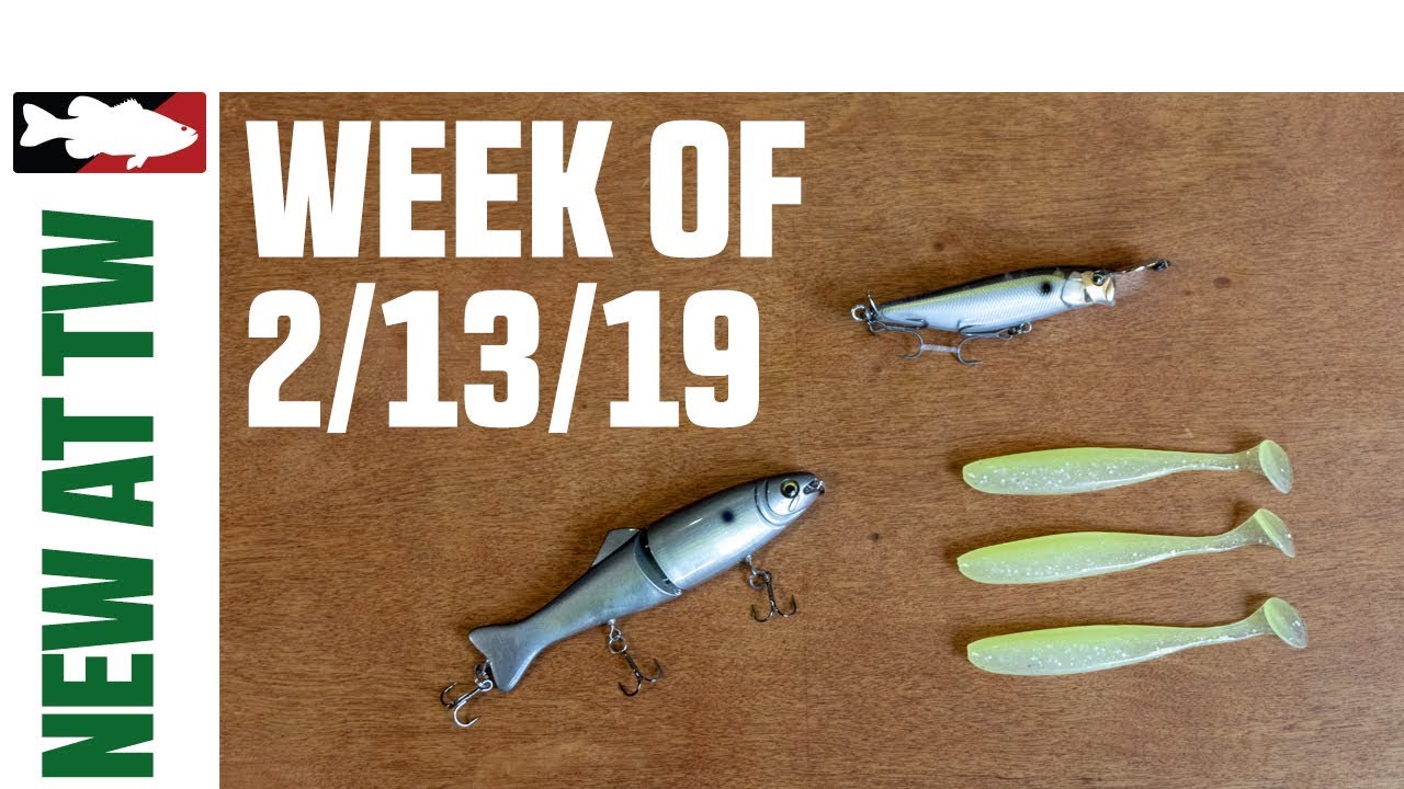 What's New at Tackle Warehouse w. Jake Cotta - 2/3/19 