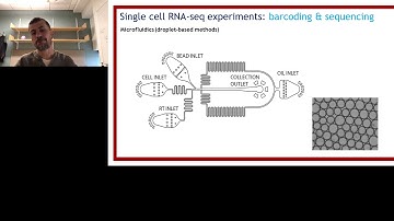 Tips for successful single cell and single nucleus RNA-Seq - Part 2