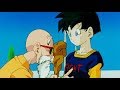 El maestro roshi le toca los pechos a videll