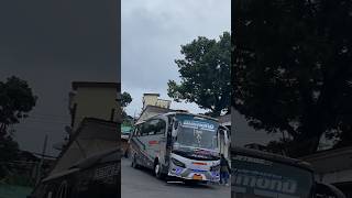 Kelas Berat Wonsobo short