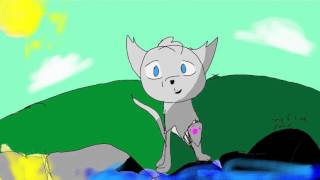 My Eyes Warrior Cat PART 1
