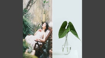 Atmospheric Backdrops for Soft Meditation Throwbacks