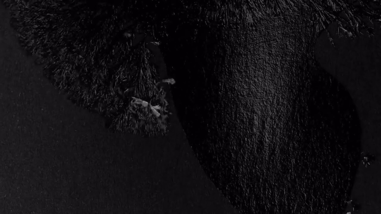 IKE - Beautiful Lie (Arctic Pulse Remix)