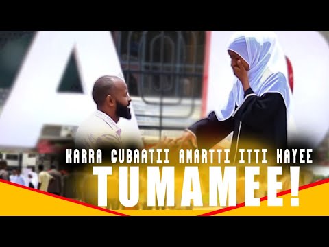 Ballaan Butte Jiilbiifadhee Nattii Herumii Jedhe Tollee Jeette Waan Ta Uu Wallalle