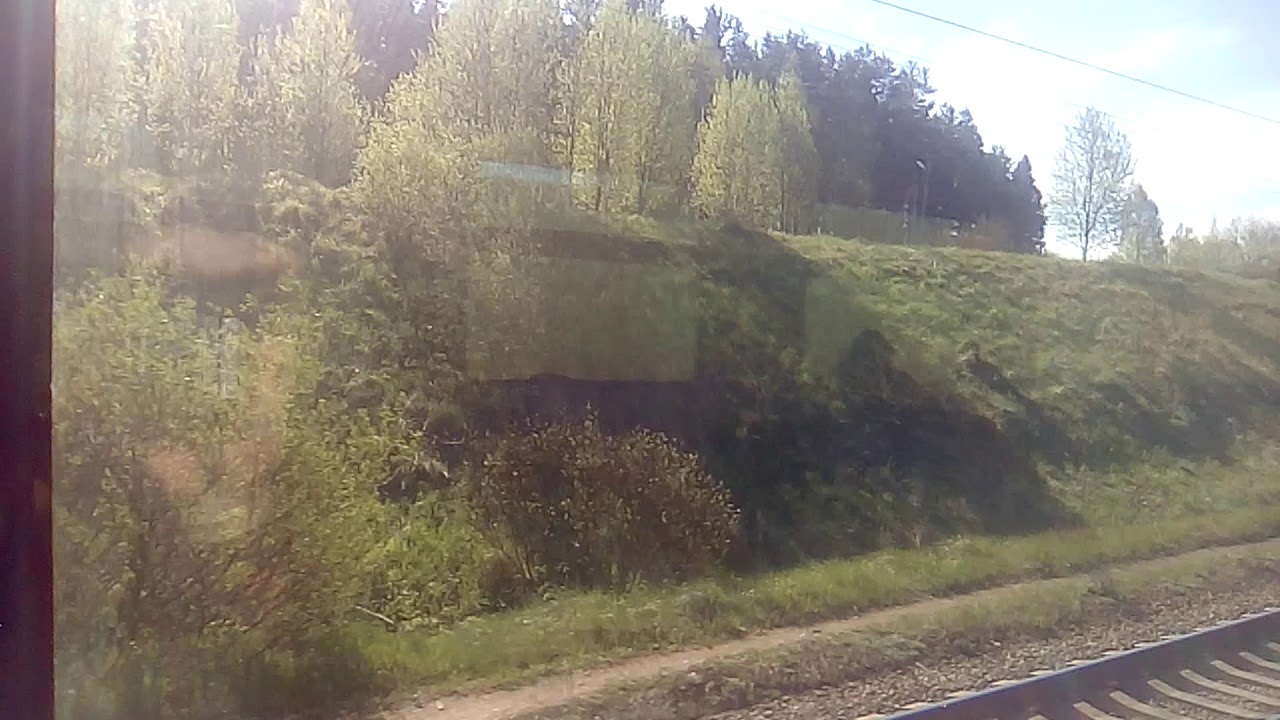 Подъезжая к ж.д. станции Толмачёво. Ленинградская область 25.05.2020 ...