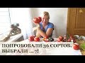 36 сортов томатов за раз! Дегустация удалась:)