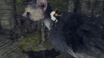 The Last Guardian - Another Trap and the Mine: Trico Tries To Revive Unconscious Boy Sequence
