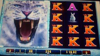 Snow Leopard Slot Machine Bonus - 8 Free Spins Win with Multiple Wild Reels screenshot 1