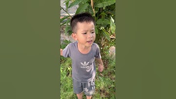 Khi Tôi Xuyên Không Đến Thế Giới Tiêu Tiền Bằng Lá Mít - Tippi Vips #tippitv