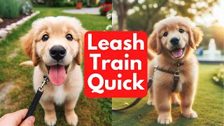 How To Leash Train Your Dog FAST by Wellness for Pets 407 views 4 months ago 11 minutes, 13 seconds