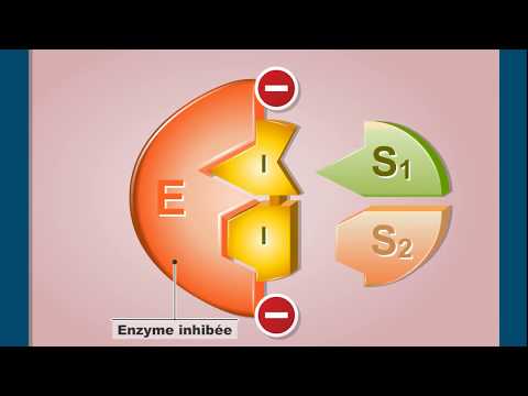 Vidéo: Qu'est-ce que l'inhibition enzymatique réversible ?