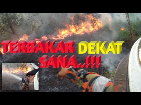 Video: Seberapa panas kebakaran belukar?