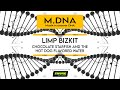 M.DNA #10 | Zeitloser Sound oder nur Relikt der 2000er? | Limp Bizkit - Chocolate Starfish...