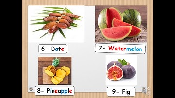 Primary 1 Connect Plus Unit 9