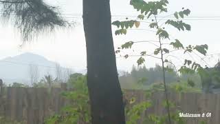 Download Lagu Tiada berjudul, tiada bersuara MP3