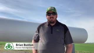 Corn Planting 2019 - Spring Anhydrous Considerations