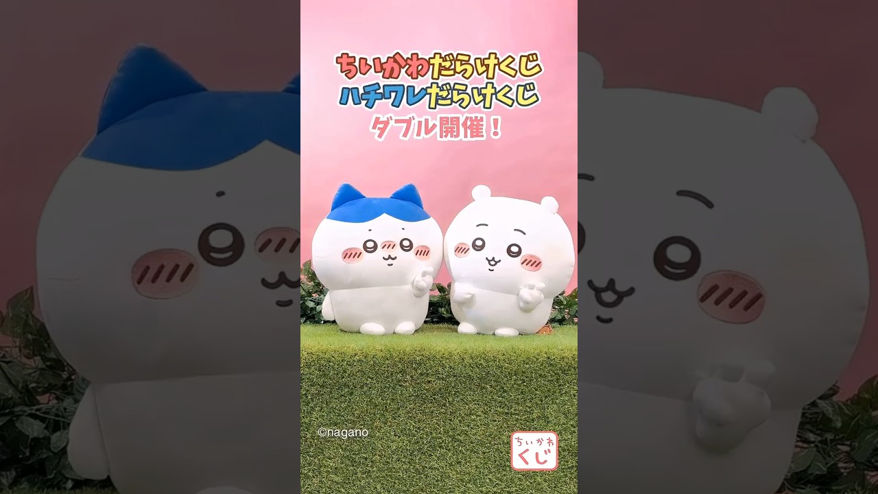 🌼#ちいかわくじ 新商品🌼 『 #ハチワレ だらけくじ 』 - YouTube