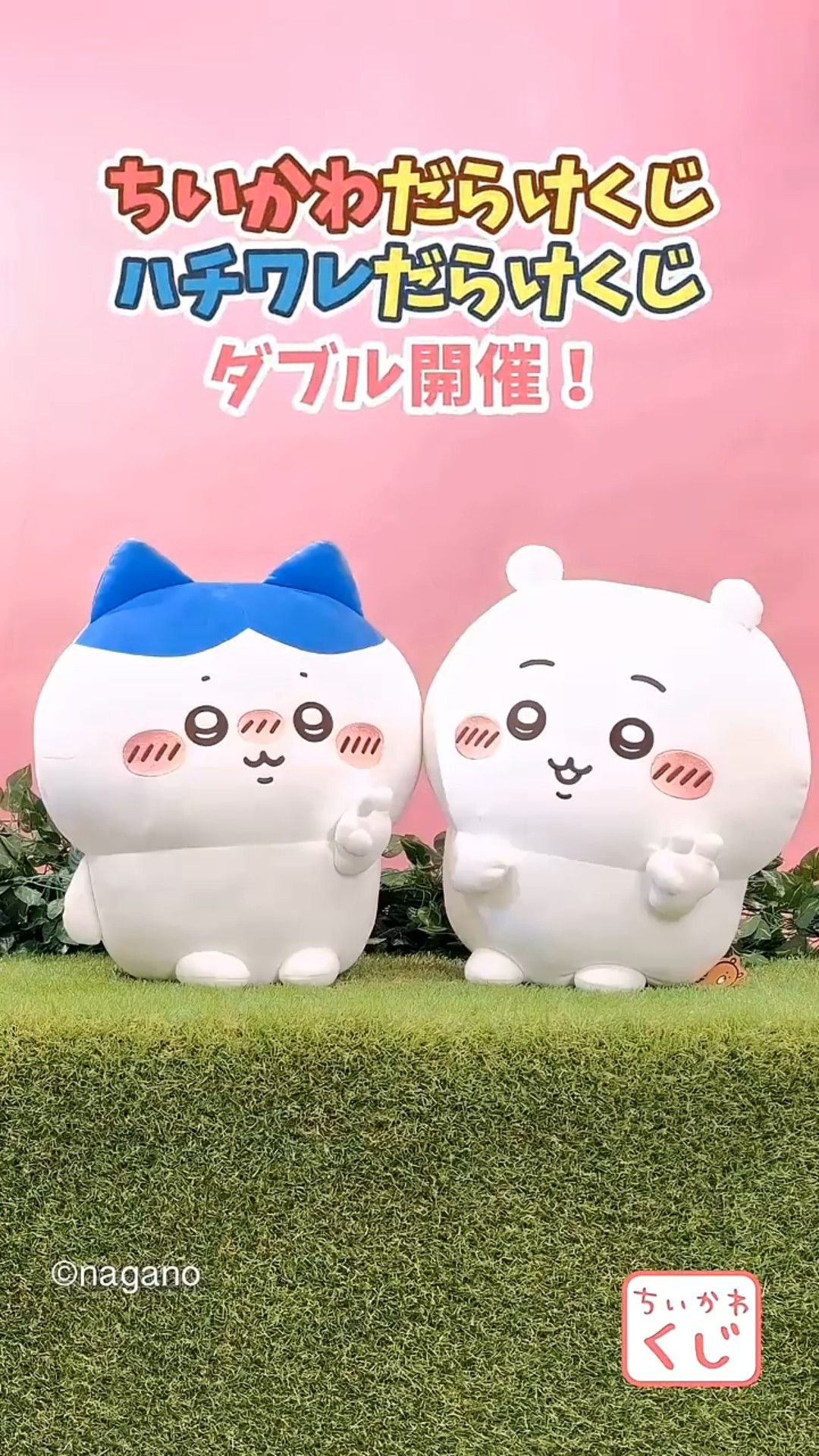 🌼#ちいかわくじ 新商品🌼 『 #ハチワレ だらけくじ 』 - YouTube